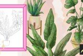 How to Draw House Plants in Procreate