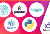 Machine Learning Data Science with Python, Kaggle Pandas