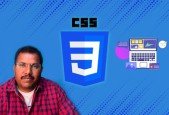 Learning CSS From Scratch