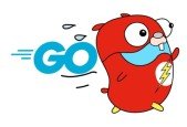 Go- The Complete Modern Golang Developer Guide