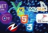 Asp.Net Core 5.0 Vue JS From Zero to Hero 68 Hours Content