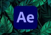 Adobe After Effects Practice Tests