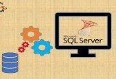 SQL SERVER ProceduresConcepts Raise Above Beginner Level