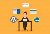Step-by-Step Drupal 7 to WordPress Migration