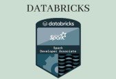 Databricks Associate Developer Practice Exam in pythonScala