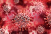 Datascience-COVID-19 Pneumonia Classification(Deep learning)