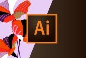 learn basics of Adobe illustrator