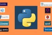 Mega Python Pandas, Numpy, ML, APIs, GraphQL, AWS, PySpark