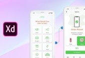 Adobe Xd UI  UX Design, Prototype And Getting A Job_1