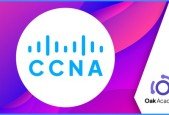 CCNA (200-301) Network Fundamentals and Internet Protocols