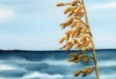 Learn to Paint Wonderful Watercolors with Sharon Long