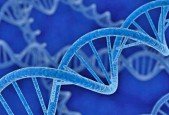 Cancer Genomics - Neural Networks vs k-NN Classifiers