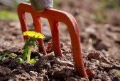 11 Easy Actions To Build Resilience