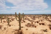 Create realistic game Cactus Optimized with Speedtree for UE_1