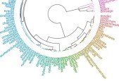Data Science on Blockchains