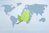 The Complete Course of Leaflet 2024