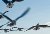 Navigating Performance Improvement Plan with Confidence