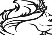 Apache Flink- A Basic Videocourse