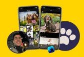iOS 14 SwiftUI- Build Instagram-like app w Google Firebase