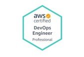 AWS DEVOPS PRACTICE TEST DOP-C01 - 2024