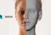 Learn Maya Character Head Modeling for Beginners