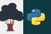 2023 Learn Python Programming from Python Basics to Advanced