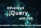 jQuery Mastery and Plugins