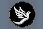 iOS App Development with Swift