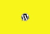 WordPress development- Ideas and Patterns