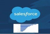 Salesforce Admin Certification ADM-201 Practice Tests