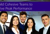 Build Cohesive Teams to Drive Peak Performance