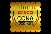 Cisco Certified Network Associate (CCNA) Practice Exams 2024