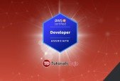 AWS Certified Developer Associate Practice Exams
