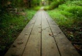 Embrace The Pain Your path to transformative change