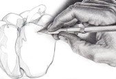Fundamentals of Drawing Anything Shading, pencils, more