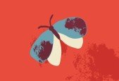 Adobe Illustrator - Vector brushes and illustrations