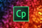 Adobe Captivate Responsive Custom Quiz Questions