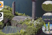 Blender to Unreal Engine 3D Plants and Vegetation