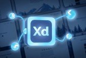 UIUX Design Adobe XD From Scratch