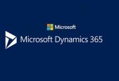 FREE Microsoft Dynamics 365 Power Platform Developer Course