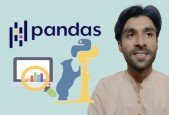 The Pandas Bootcamp - Data Analysis with Pandas Python3