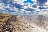 Understanding Water and Waste Management
