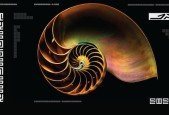Fibonacci Typography 1.618 with Adobe Illustrator CC 22-24