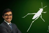 Rhino Grasshopper Basics Course
