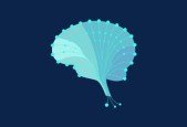 Basics of Deep Learning