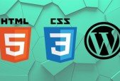 Web Design Course for Beginners to Intermediate