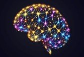 Master Neural Networks- Build with JavaScript and React