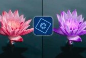 Photoshop Elements 2023 Made Easy Training Tutorial