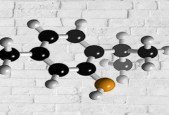 SAP MDG Data Modeling for Beginners with Hands-On