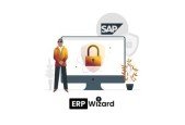 SAP Successfactors Security